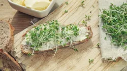 Eletto Il Consiglio direttivo